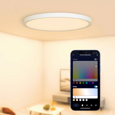 BENEWTON Tuya Smart Ceiling Lamp, RGB LED, APP & Voice Control