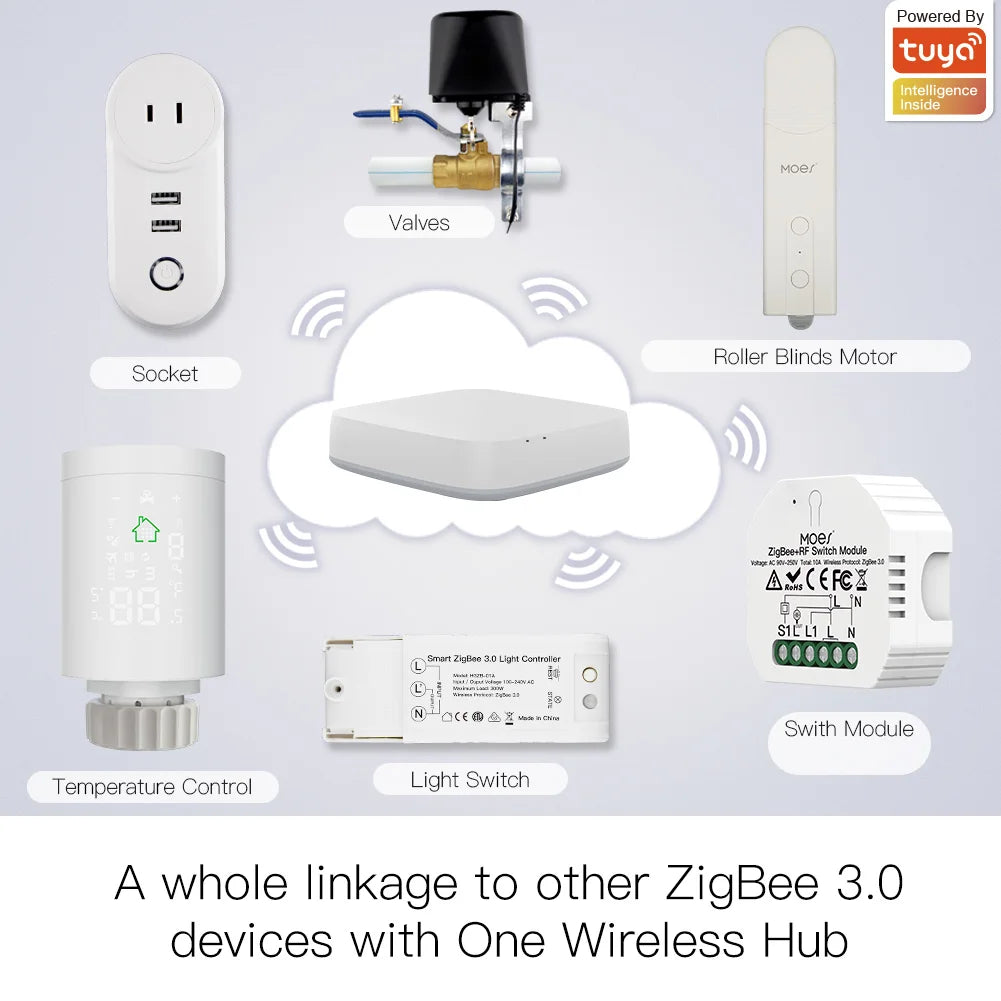 ZigBee Smart Roller Blind Motor, Tuya, Alexa/Google Control